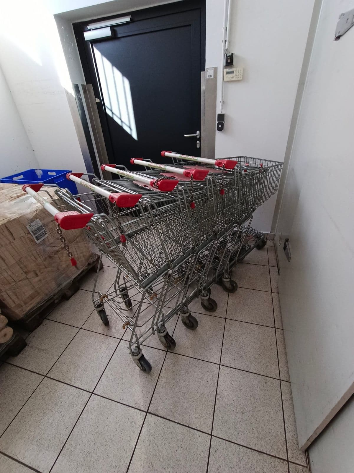 Posten 13 – 5 Stk. Einkaufwagen
