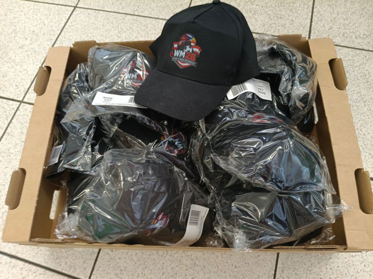 Posten 15 – 1 Karton mit Fan-Caps