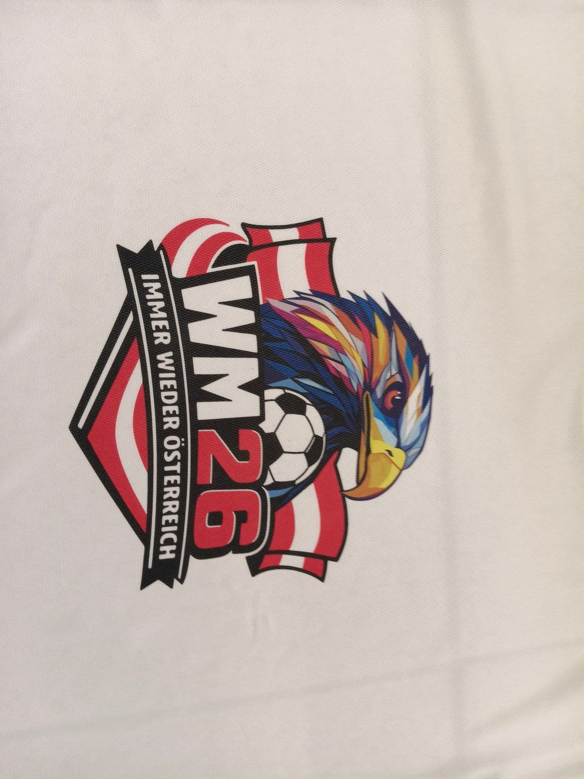 Posten 16 – 1 Karton mit Fan T-Shirts