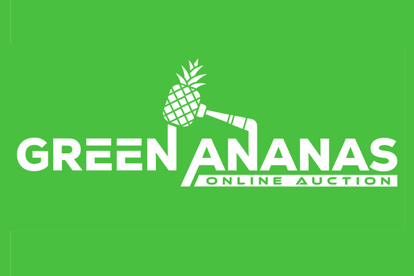 green-ananas Auktionen und Marketplace