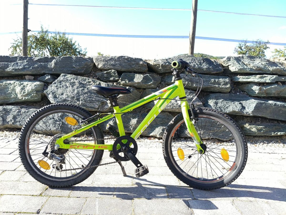 Focus Kinder-Mountainbike 20 Zoll - Neon Gelb/Grün